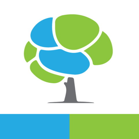 Radius TBI Favicon | Orlando social worker