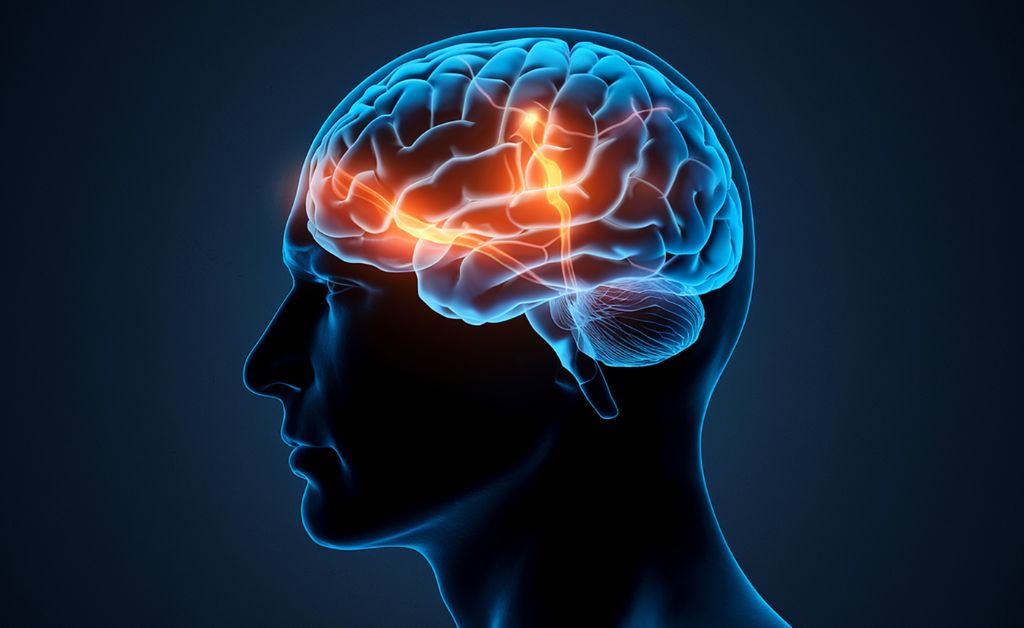 Why Concussions Don’t Just Heal on Their Own
